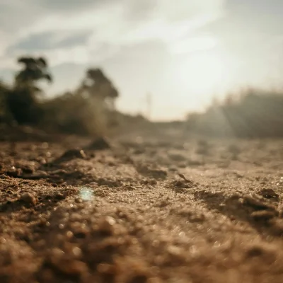 Understanding and improving soil health is critical