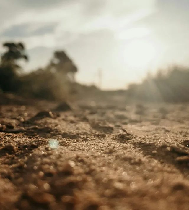 Understanding and improving soil health is critical