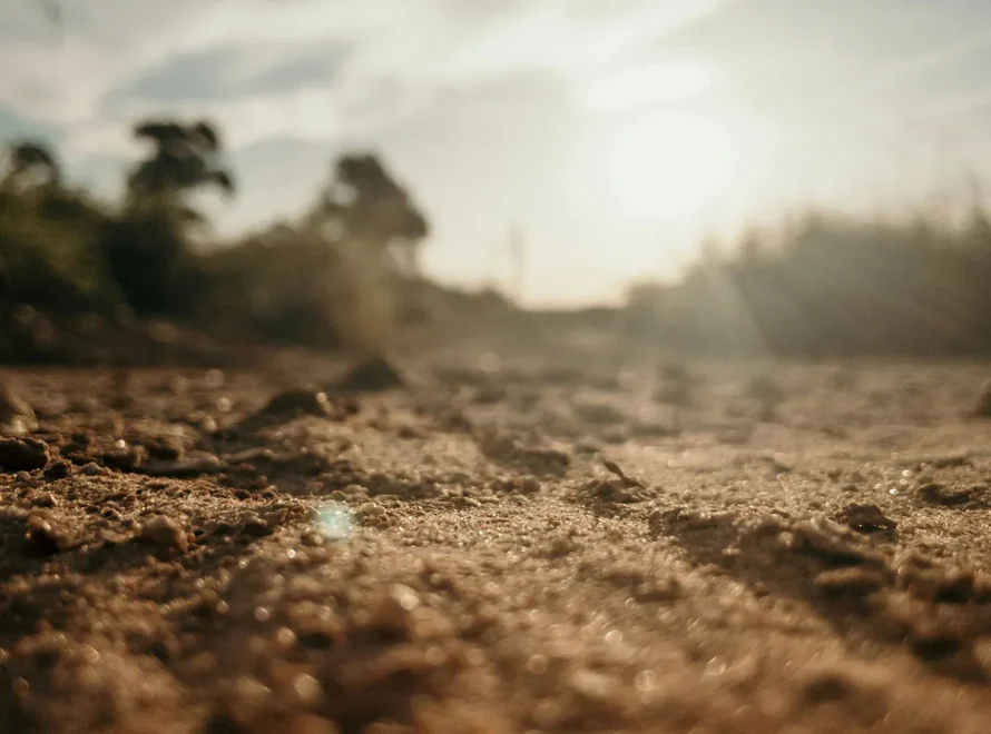 Understanding and improving soil health is critical