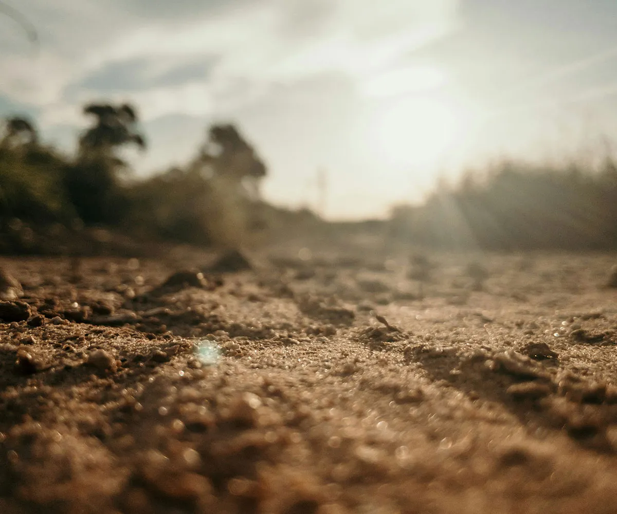 Understanding and improving soil health is critical