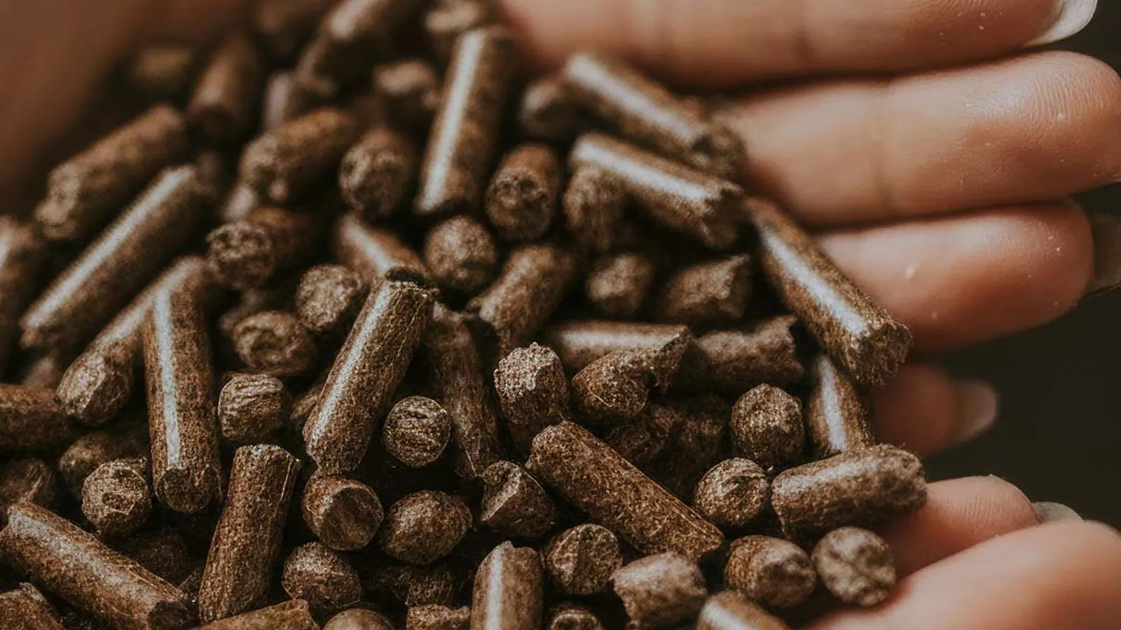 Our process: from raw material to finished pellet