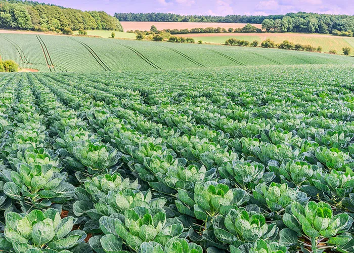 Professional range Agricultural