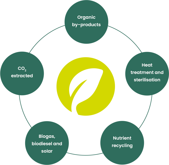 SoilWorx circular economy